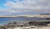 Trail Walking La Oliva - LZ5 - Tour et Phare de Toston - Photo 4