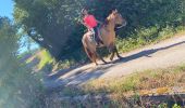 Trail Horseback riding Pisieu - Pisieu 2  - Photo 3