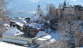 Tour Zu Fuß St. Wolfgang im Salzkammergut - Auerriesenweg - Photo 2