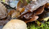 Tour Wandern Lantenay - Seconde sortie au trompette avec Dany - Photo 2