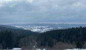 Randonnée Raquettes à neige Métabief - Les hauteurs de Metabief - Photo 1