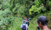 Trail Walking Le Lorrain - Mornes Capot / Lorrain Martinique - Photo 5