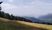 Tour Wandern Morzine - 74-Avoriaz-cretes-belvedere-10km-360 - Photo 5