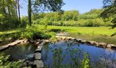 Tour Wandern Chimay - rando lompret 26-05-2023 - Photo 9