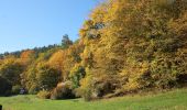 Excursión A pie Ochoz u Brna - naučná stezka Hády a Údolí Říčky - Photo 8