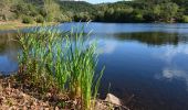 Trail Walking Fréjus - Mare Trache depuis l'Auriasque - Photo 4