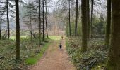 Trail Walking Tintigny - Bellefontaine Saint-Vincent - Photo 3