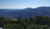 Trail Walking Lapoutroie - La tour du Faudet - Photo 2