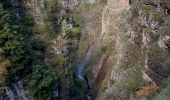 Trail Walking Beauvezer - villars heyssier gorges Saint Pierre 19kms 850m  - Photo 4