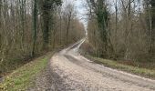 Trail  Coiffy-le-Haut - Trace pour parc animalier la bannie - Photo 5