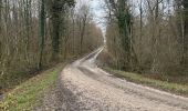 Randonnée  Coiffy-le-Haut - Trace pour parc animalier la bannie - Photo 5