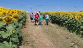 Tocht Stappen Cintegabelle - Cintegab JP y - Photo 8