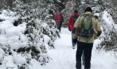 Tour Wandern Sainte-Paule - Col du chêne  (8,6km - D. 275 m) - Photo 1