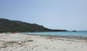 Tocht Stappen Sartène - Plages de Roccapina et d'Erbaju - Photo 3