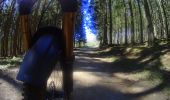 Tocht Mountainbike La Roche-en-Ardenne - activity_8670328691 - Photo 9