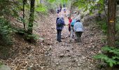 Excursión Senderismo Taurinya - Site minier du salver - Photo 16