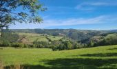 Excursión Marcha nórdica Les Salces - Boucle du Loup depuis les Salces - Photo 12