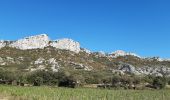 Tour Wandern Eyguières - Tour du Mont Menu - Photo 2