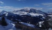 Randonnée Ski de randonnée Praz-sur-Arly - Tête du Torraz - Photo 2