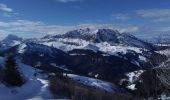 Percorso Sci alpinismo Praz-sur-Arly - Tête du Torraz - Photo 2