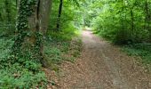 Trail Walking Cheptainville - Forêt Régionale de Cheptainville  - Photo 18