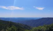 Tour Wandern Val-d'Aigoual - Aigoual  - Photo 1