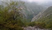 Trail On foot San Romano in Garfagnana - IT-58 - Photo 3