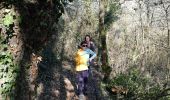 Trail Walking Thouars - randonnée cascade de pommier PR10 - Photo 12