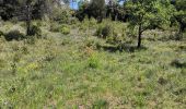 Trail Walking La Motte - le mitan  Fonfcirylle - Photo 1