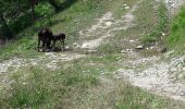 Tour Wandern Tignes - tigne et le lac du chevril - Photo 7