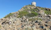 Randonnée Marche Ajaccio - Les iles Sanguinaires. Corse - Photo 1