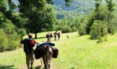 Trail Walking La Chapelle-en-Vercors - La Chapelle en Vercors - Vassieux (Première étape balade ânes) - Photo 2