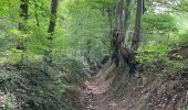 Trail Walking Namur - Boninne - Photo 6
