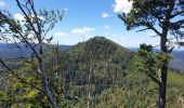 Trail Walking Grandfontaine - Positions fortifiées du Donon sentier des casemates - nord - Photo 17
