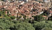 Tocht Stappen La Crau - Chapelle du Fenouillet & Château de Hyères - Photo 2