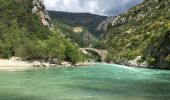 Trail Walking La Londe-les-Maures - Verdon - Photo 1