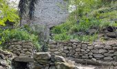 Tour Wandern Laroque-des-Albères - La Roque des Alberes, randonnée et botanique - Photo 5