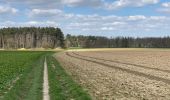 Tour Wandern Beauvechain - HAMME mille 20,8 km - Photo 10