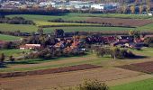 Trail On foot Oberstenfeld - DE-8 - Photo 10