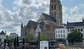 Percorso Marcia Ronse - Ronse-Audenarde 20,5 km  - Photo 1