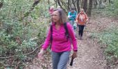 Trail Walking Cuges-les-Pins - cuges les pins le driou - Photo 7