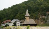 Tour Zu Fuß Turm Severin - Traseul ecoturistic Vodița – Dealul Duhovnei - Photo 5