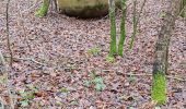 Tocht Stappen Vauchassis - Balade en forêt d'Hothe - Photo 2