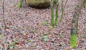 Percorso Marcia Vauchassis - Balade en forêt d'Hothe - Photo 2