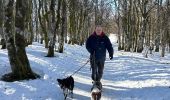 Trail Walking Stosswihr - Les 3 Fours - col de la Schlucht - Photo 10