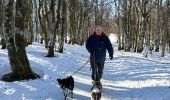 Randonnée Marche Stosswihr - Les 3 Fours - col de la Schlucht - Photo 10