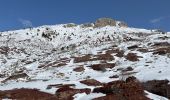 Randonnée Raquettes à neige Auvare - Col de Sui - Photo 6