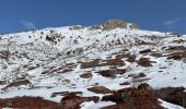 Tour Schneeschuhwandern Auvare - Col de Sui - Photo 6