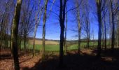 Percorso Mountainbike La Roche-en-Ardenne - activity_8670328691 - Photo 12