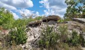 Trail Walking Saint-Paul-le-Jeune - Sentier des dolmens - Photo 6